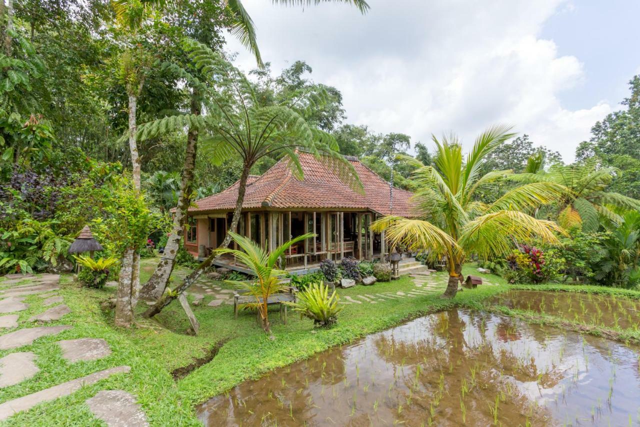Prana Dewi Mountain Resort Jatiluwih Exterior foto