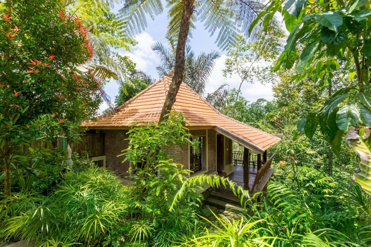Prana Dewi Mountain Resort Jatiluwih Habitación foto